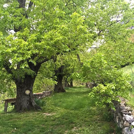 De Chasteuil * Кастеллан